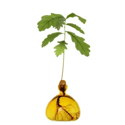 Agern Vase - Mellow Yellow