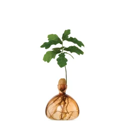 Agern Vase - Sweet Apricot