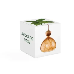 Agern Vase - Sweet Apricot