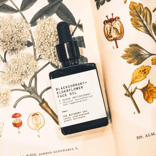 Ansigtsolie Antioxidant - Solbær u0026 Hyldeblomst