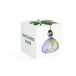 Avocado Vase - Cosmic Lyra