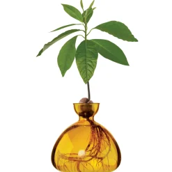 Avocado Vase - Mellow Yellow