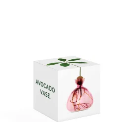 Avocado Vase - Rose Pink