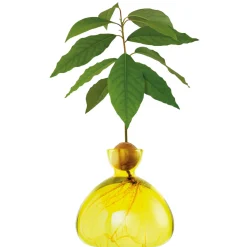 Avocado Vase - Sunlight Yellow