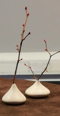 Kusa Vase - Ask