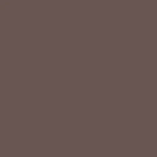 Sydney String Shorts - Øko Bomuld - Coffee Quartz