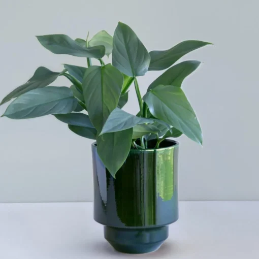 The Hoff Pot Glazed - Urtepotte - Emerald Green