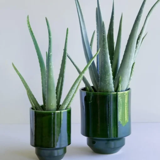 The Hoff Pot Glazed - Urtepotte - Emerald Green