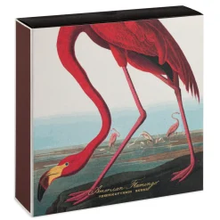 Tændstikker - The American Flamingo By Audubon